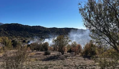 Akseki’de Meyve Bahçesinde Yangın: 3 Dönüm Zarar Gördü